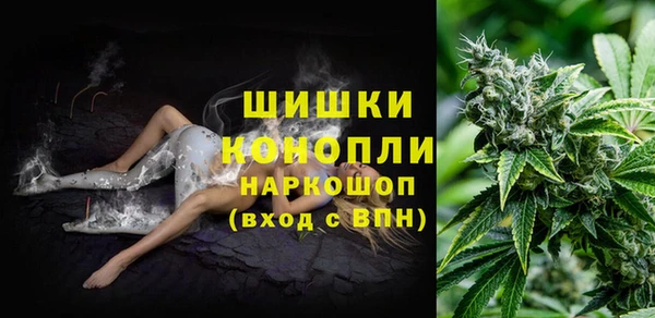 стафф Балахна